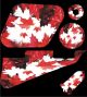 Canadian Patriot 1