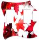 Canadian Patriot 1