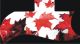 Canadian Patriot 1