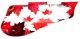 Canadian Patriot 1