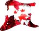 Canadian Patriot 1