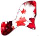 Canadian Patriot 1