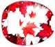 Canadian Patriot 1