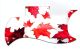Canadian Patriot 1