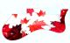 Canadian Patriot 1