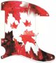 Canadian Patriot 1 - Avril Lavigne Tele