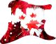 Canadian Patriot 1