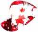 Canadian Patriot 1