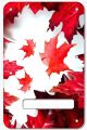 Canadian Patriot 1