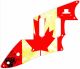 Canadian Patriot 2