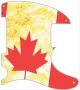 Canadian Patriot 2