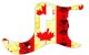 Canadian Patriot 2