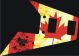 Canadian Patriot 2