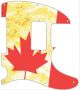 Canadian Patriot 2