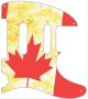 Canadian Patriot 2
