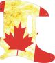Canadian Patriot 2 - Vintera '60s Tele