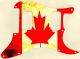 Canadian Patriot 2