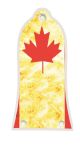 Canadian Patriot 2
