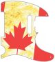 Canadian Patriot 2 - American Elite Tele