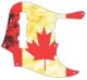 Canadian Patriot 2