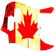 Canadian Patriot 2