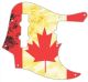 Canadian Patriot 2