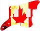 Canadian Patriot 2
