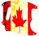 Canadian Patriot 2