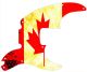 Canadian Patriot 2