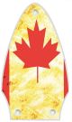 Canadian Patriot 2