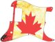 Canadian Patriot 2
