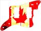 Canadian Patriot 2