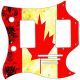 Canadian Patriot 2