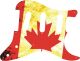 Canadian Patriot 2
