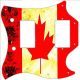 Canadian Patriot 2