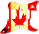 Canadian Patriot 2