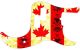 Canadian Patriot 2
