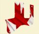 Canadian Patriot 3