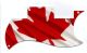 Canadian Patriot 3