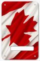 Canadian Patriot 3