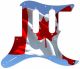 Canadian Patriot 4