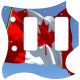 Canadian Patriot 4