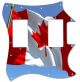 Canadian Patriot 4