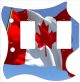 Canadian Patriot 4