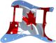 Canadian Patriot 4