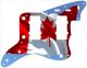 Canadian Patriot 4