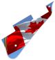 Canadian Patriot 4