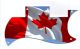 Canadian Patriot 4