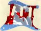 Canadian Patriot 4 - Vintera '70s Strat