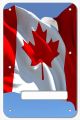 Canadian Patriot 4
